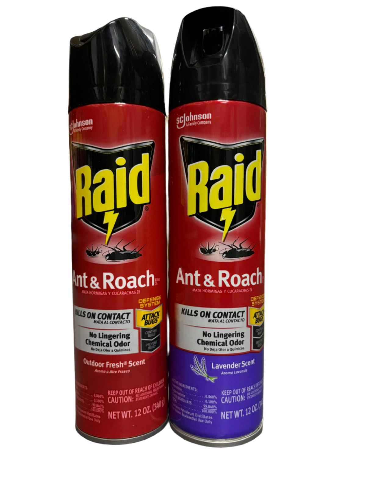 Raid Ant & Roach Killer Spray