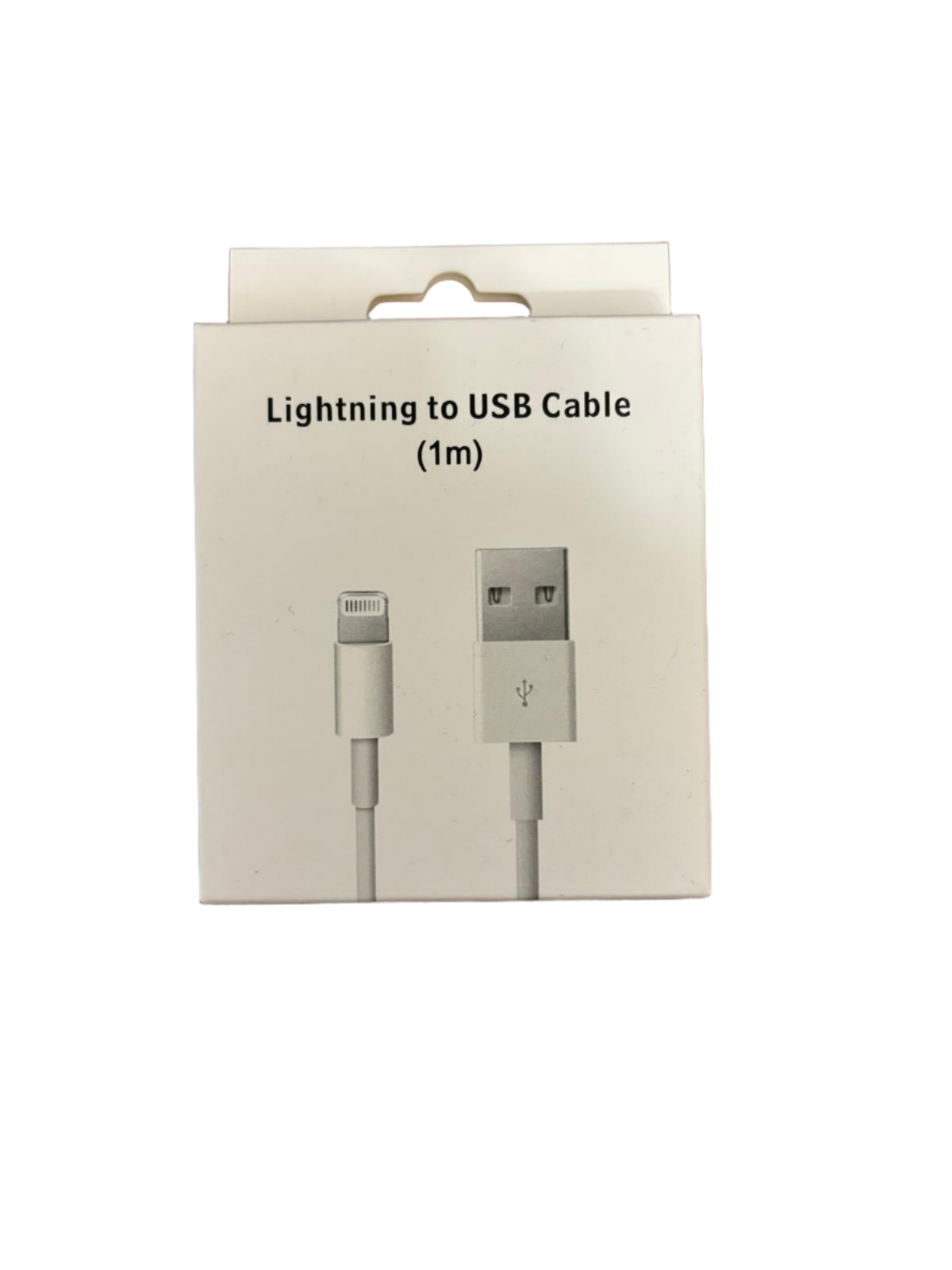 USB C to Lightning Cable (1 m)